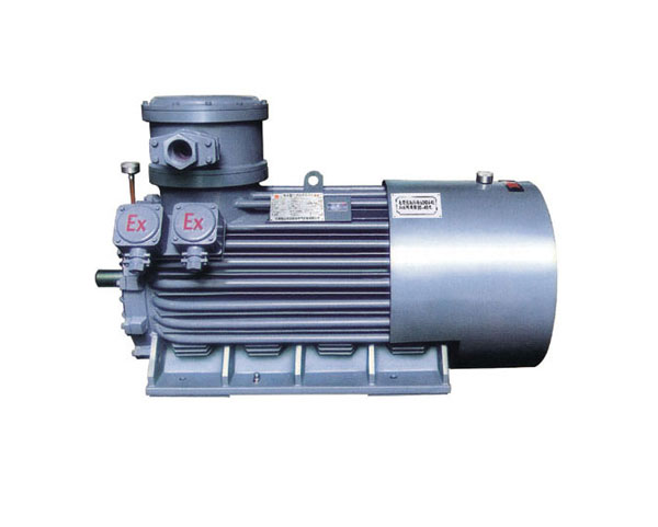 高壓隔爆三相異步電動(dòng)(dòng)機(jī)(jī)